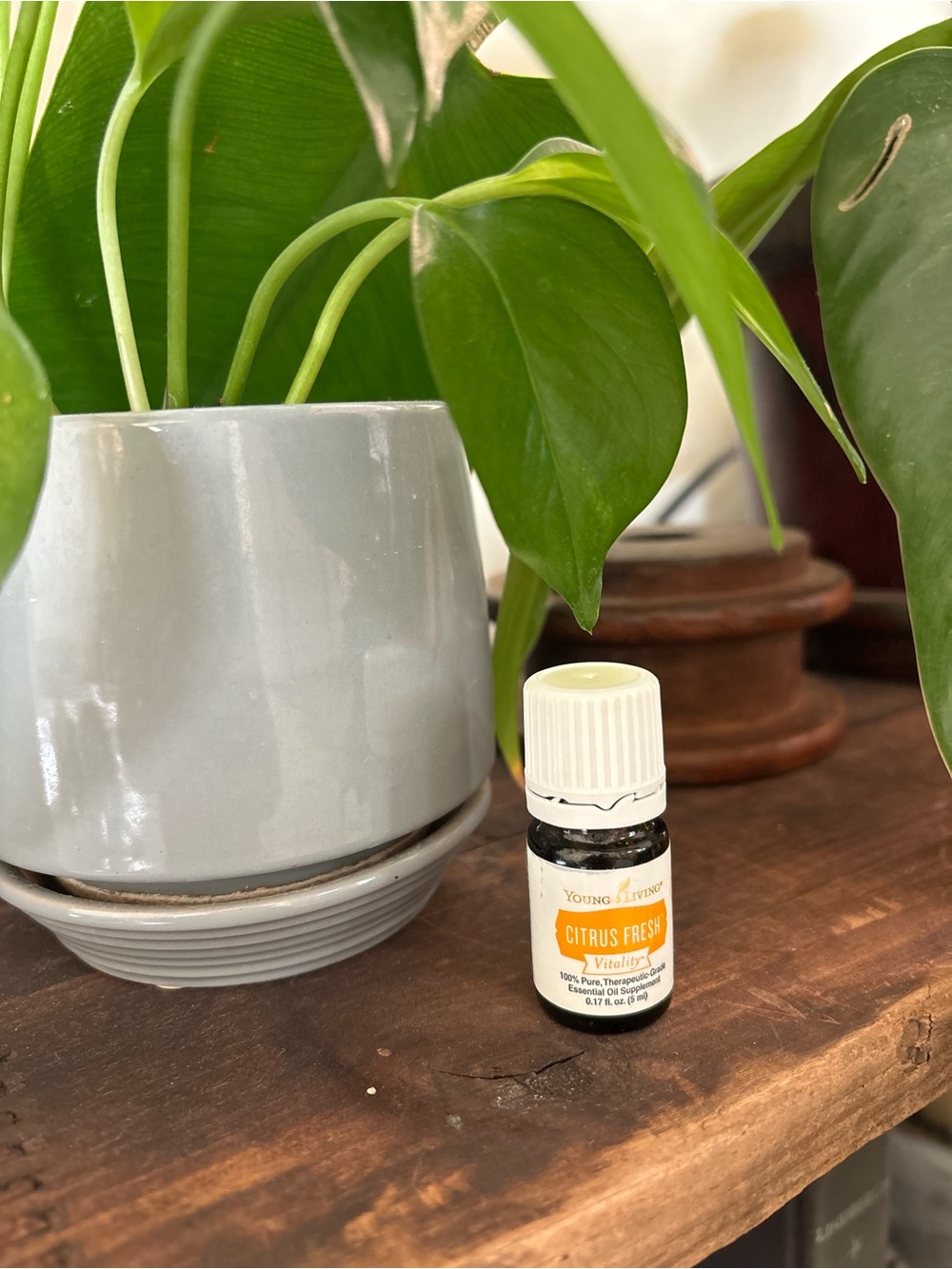 Young Living Citrus Fresh - Essential Oil